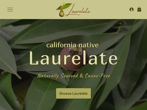 Screenshot of website